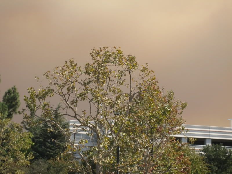Orange smoke over Amgen