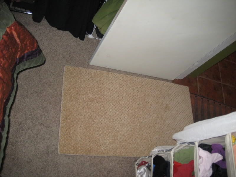 carpet sample on top of old showing color difference