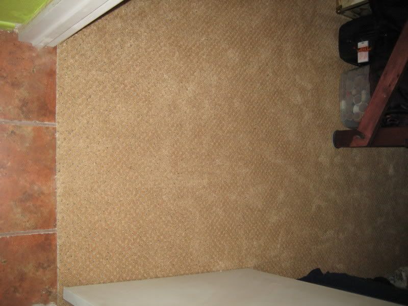 new hazelnut carpet with pattern but no hole