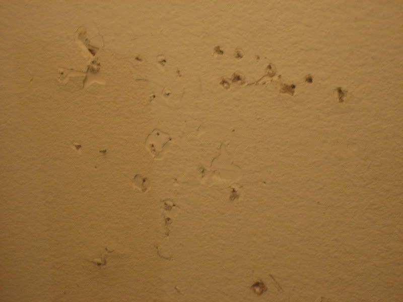 bath vanity wall nail holes and lots of them.