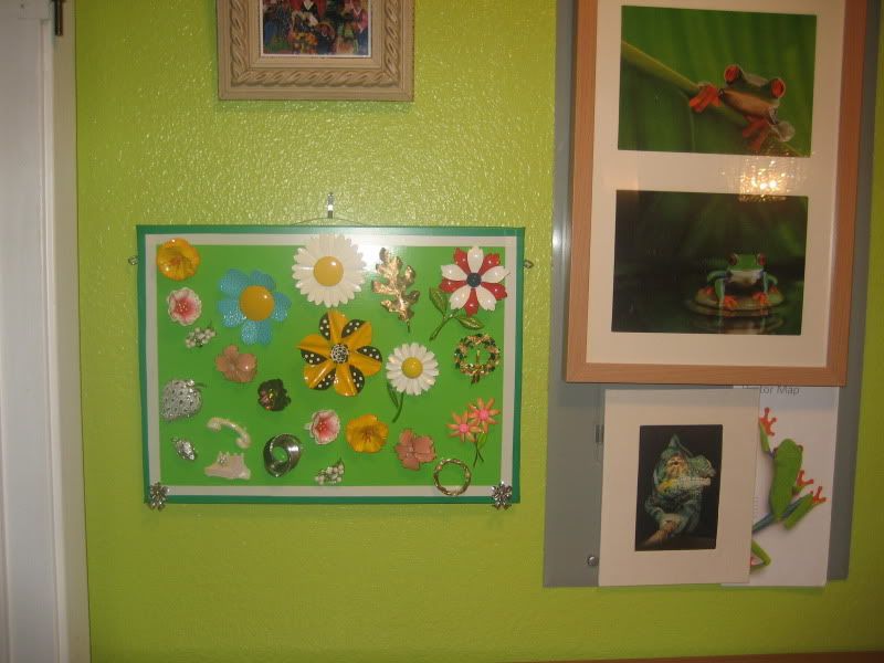 pins and frogs, images on lime green wall
