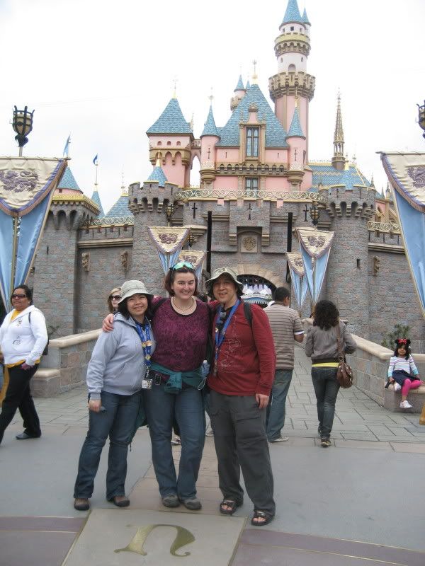 the rest of the gang at Disneyland in front of the castle