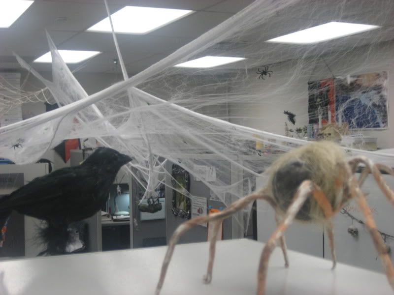 halloween 2010 office spiderwebs