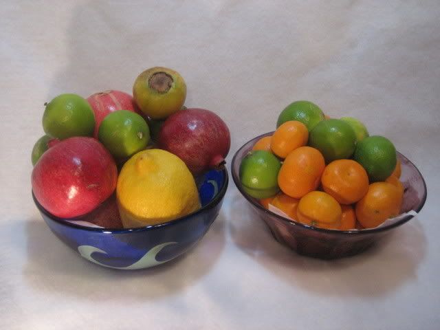 glass bowls of oranges, lemons, limes, pomegranate, guava