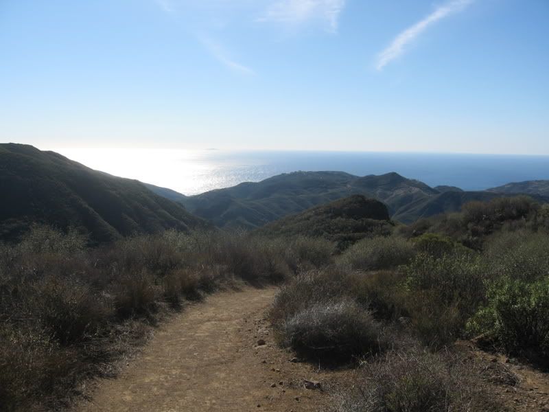 View of hiking path to Mt. Boney