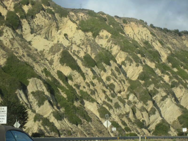 steep rutted dun hillside with green scrubby plants