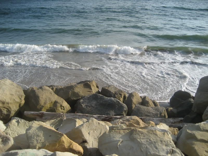 waves, boulders, driftwood log