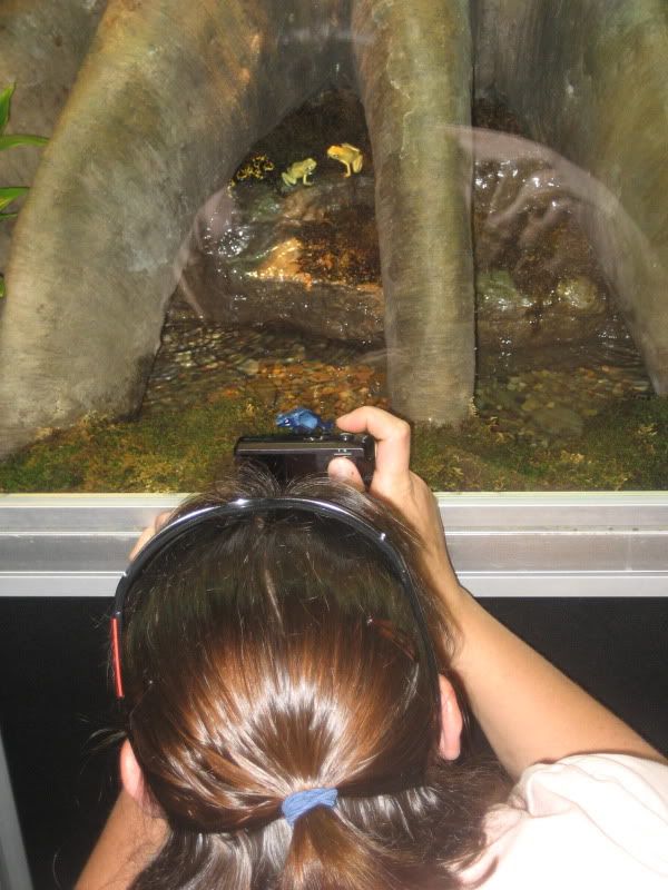 back of head and camera in front of tiny display