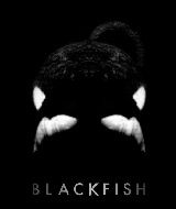 blackfish
