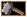 axe stone axe stone