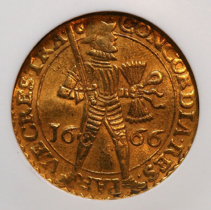 1666-1.jpg