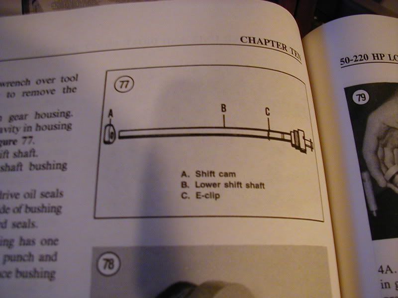 boat007.jpg