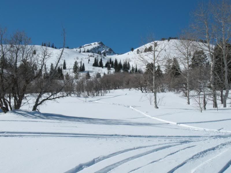 snowbasin052.jpg