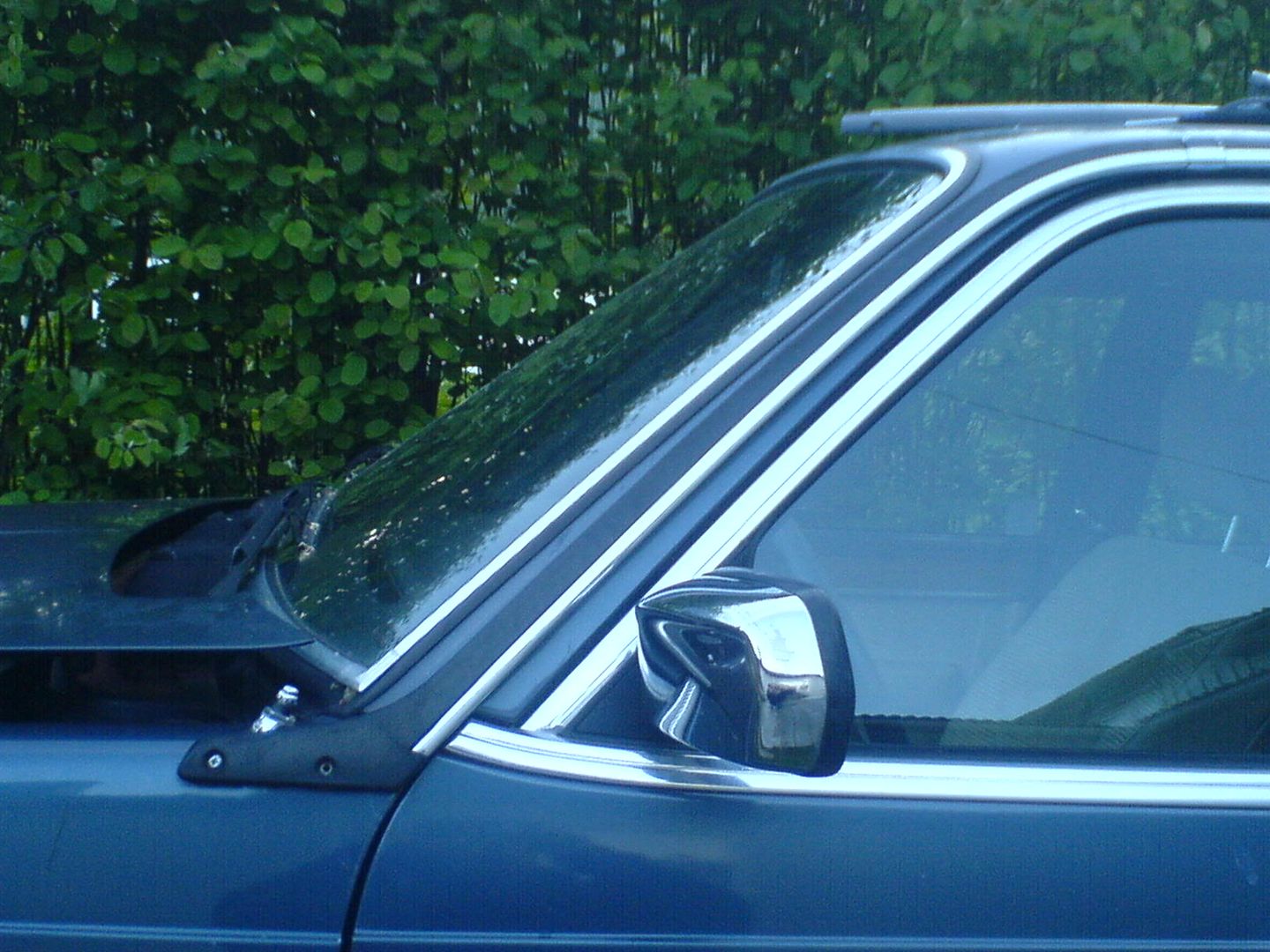 DSC00444.jpg