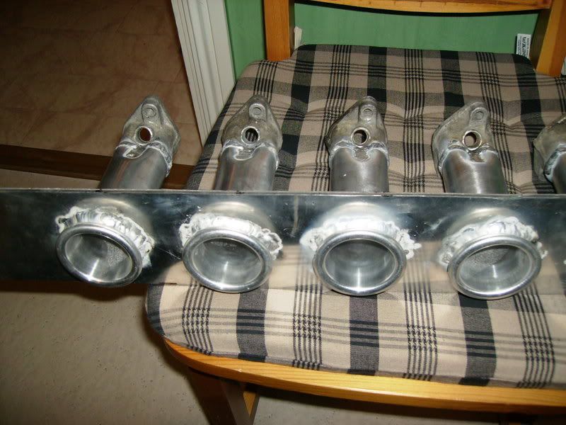 insug1.jpg