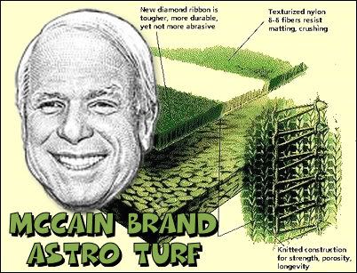 McCain Brand Astro Turf
