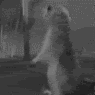 [Linked Image from i80.photobucket.com]