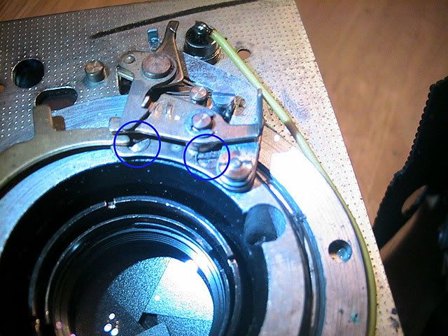 113_1395.jpg