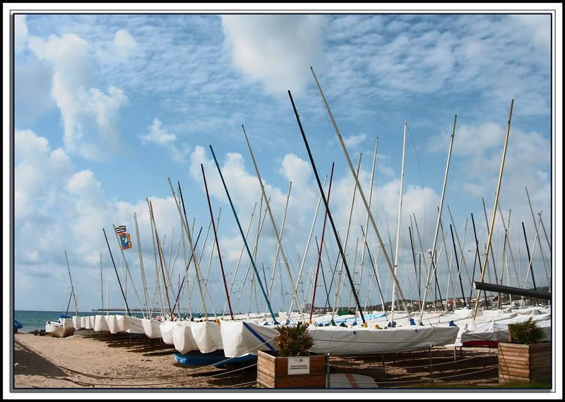 DSCN1449.jpg image by emubla