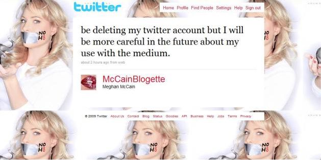 meghan mccain controversy. See quot;Meghan McCain Twitter