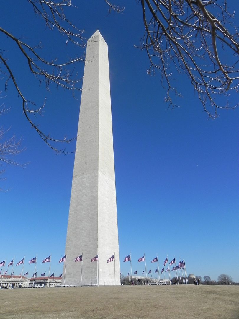Washington D.C.