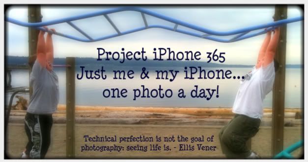 Project 365!