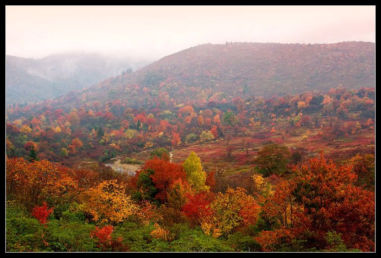 IMAGE: http://i80.photobucket.com/albums/j187/stime187/fallfog_5050_web-1.jpg