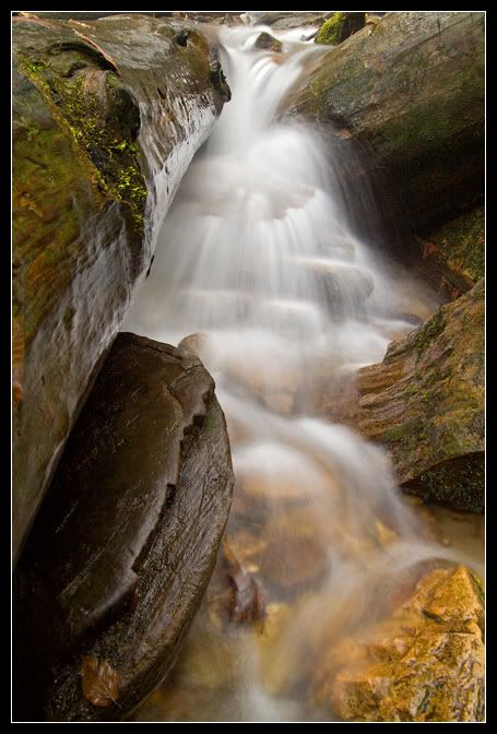 IMAGE: http://i80.photobucket.com/albums/j187/stime187/mingofalls1_web_7957.jpg