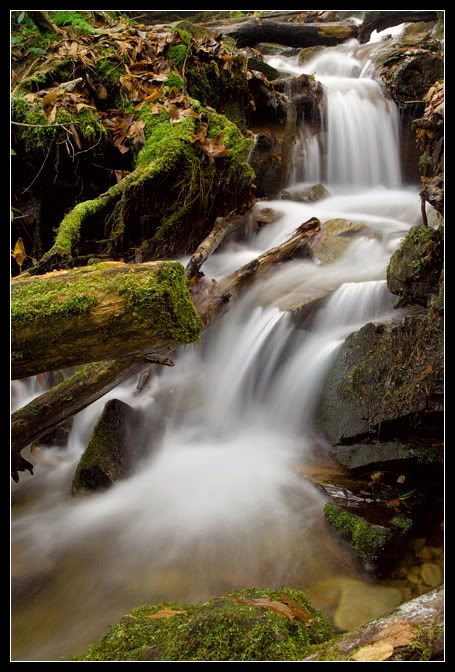 IMAGE: http://i80.photobucket.com/albums/j187/stime187/mingofalls2_web_7994.jpg