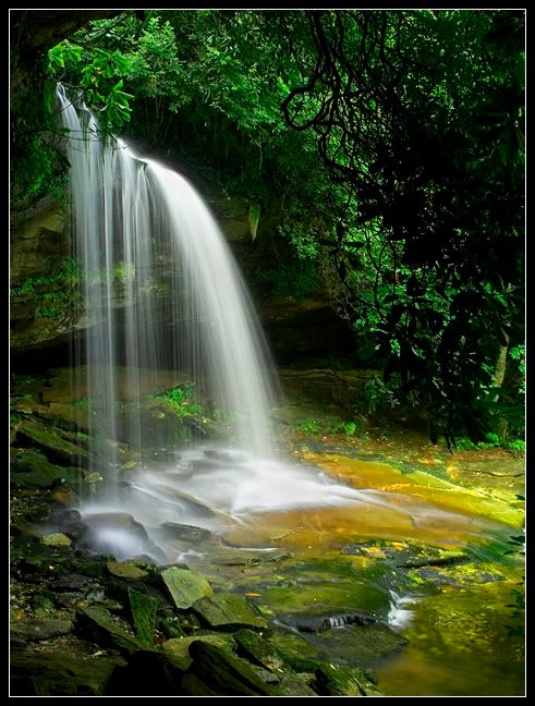 IMAGE: http://i80.photobucket.com/albums/j187/stime187/schoolhouse3_3850_web.jpg