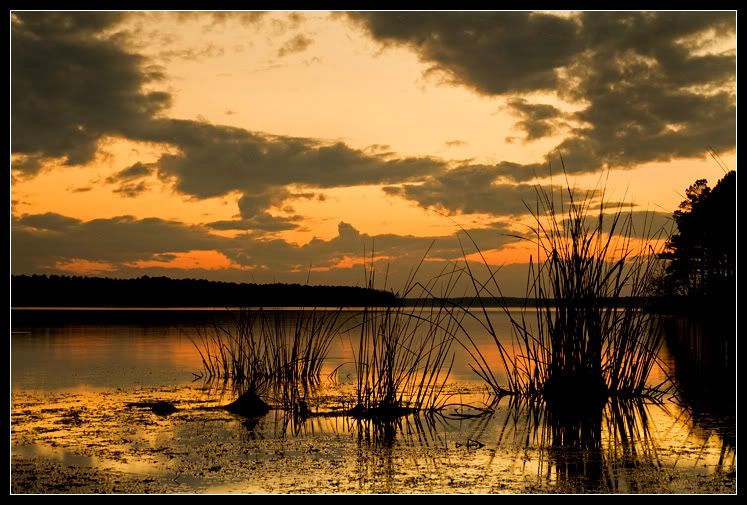 IMAGE: http://i80.photobucket.com/albums/j187/stime187/shoresunset_7853_web-1.jpg