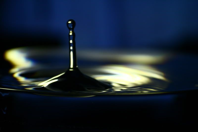 IMAGE: http://i80.photobucket.com/albums/j187/vvilko/IMG_1946.jpg