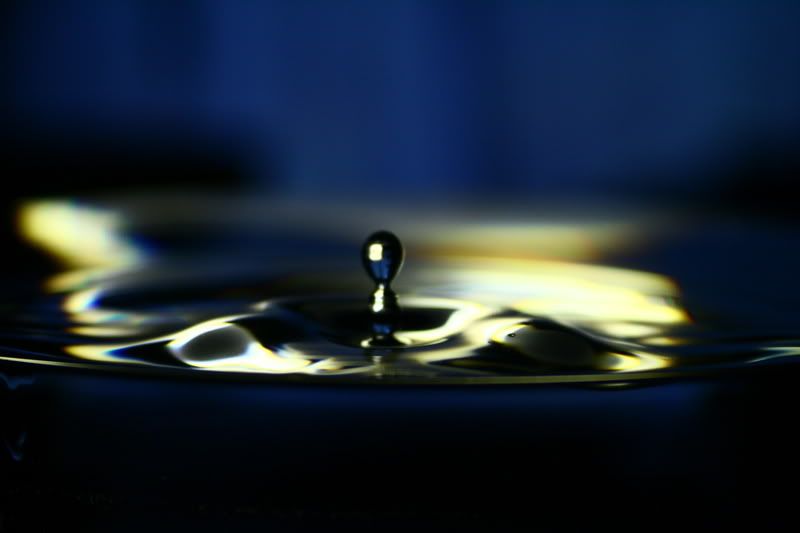 IMAGE: http://i80.photobucket.com/albums/j187/vvilko/IMG_1947.jpg