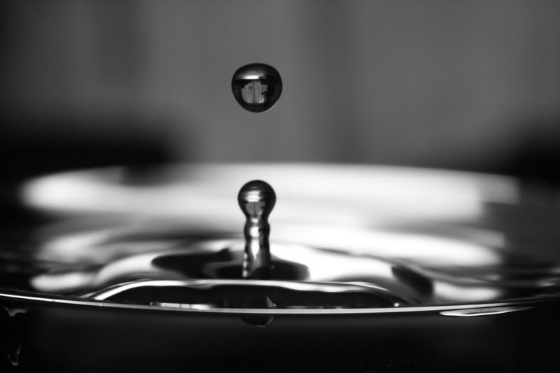 IMAGE: http://i80.photobucket.com/albums/j187/vvilko/IMG_1974.jpg