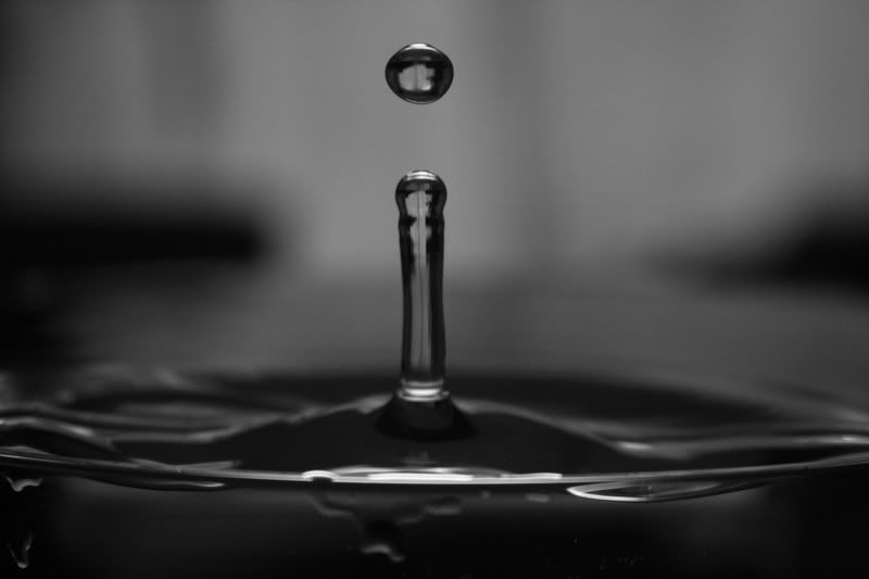 IMAGE: http://i80.photobucket.com/albums/j187/vvilko/IMG_1979.jpg