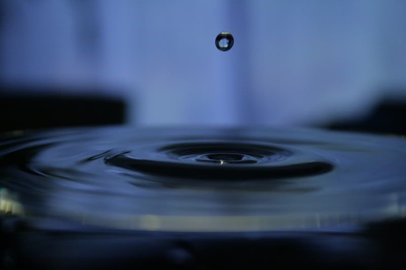 IMAGE: http://i80.photobucket.com/albums/j187/vvilko/IMG_1985.jpg