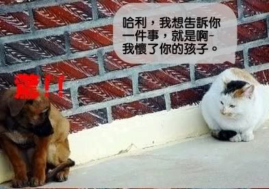圖檔