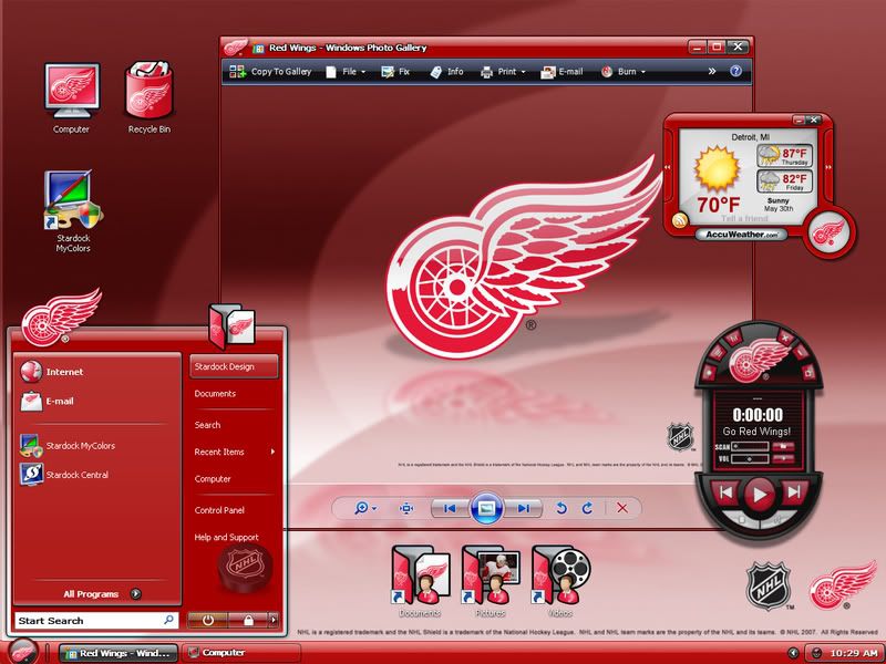 detroit_red_wings_vista.jpg