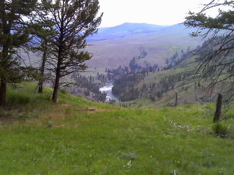 IMAG0017.jpg