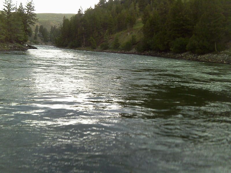 IMAG0020.jpg