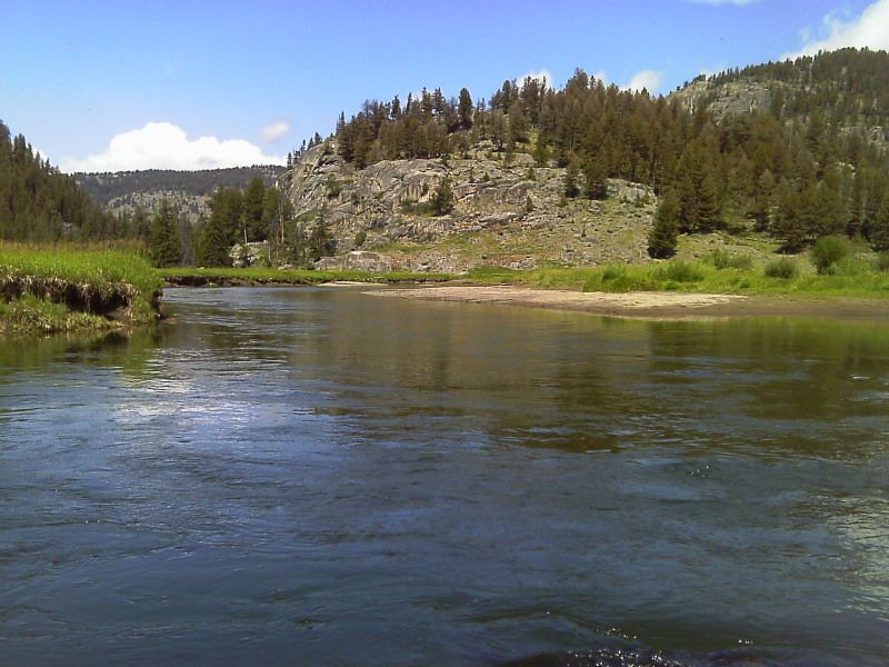 IMAG0037.jpg