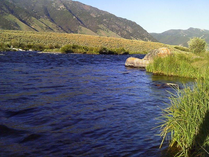 IMAG0105.jpg