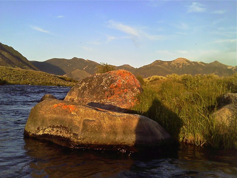IMAG0110.jpg