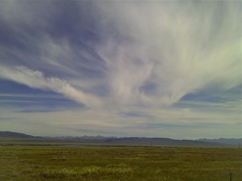 IMAG0138.jpg
