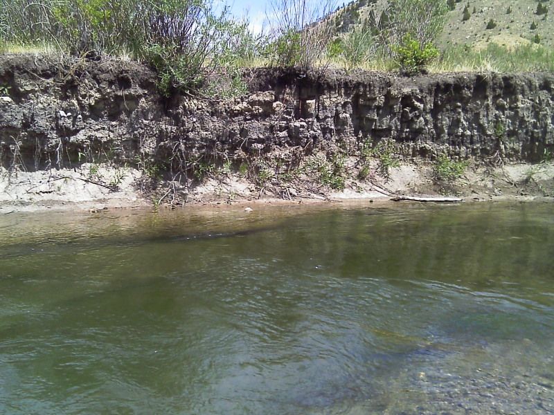 IMAG0164.jpg