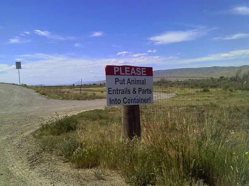IMAG0174.jpg