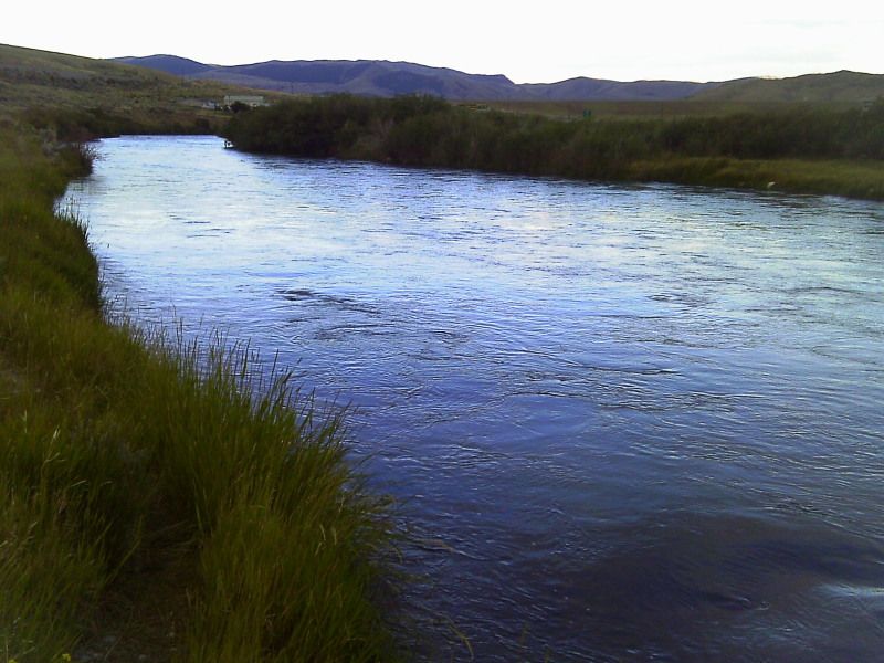 IMAG0189.jpg