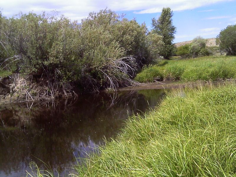 IMAG0209.jpg