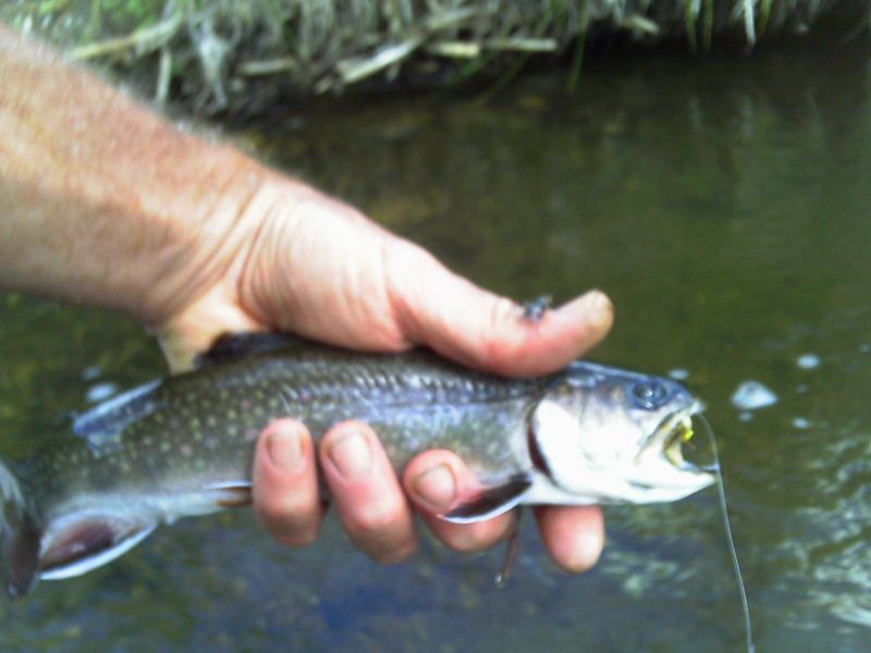 IMAG0240.jpg