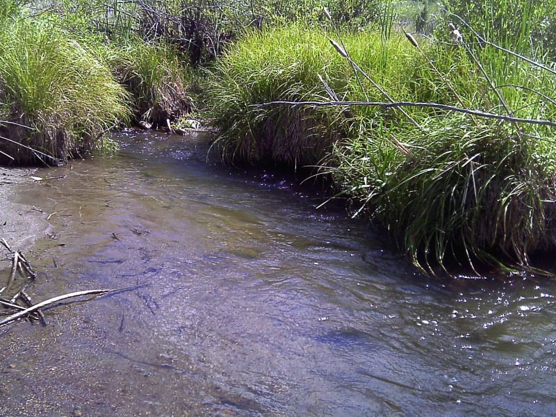 IMAG0241.jpg